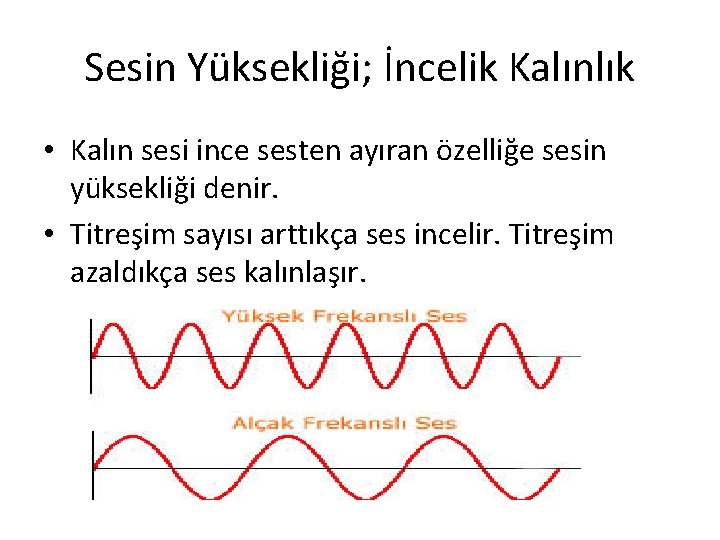 Sesin Yüksekliği; İncelik Kalınlık • Kalın sesi ince sesten ayıran özelliğe sesin yüksekliği denir. Sesin Yüksekliği; İncelik Kalınlık • Kalın sesi ince sesten ayıran özelliğe sesin yüksekliği denir.