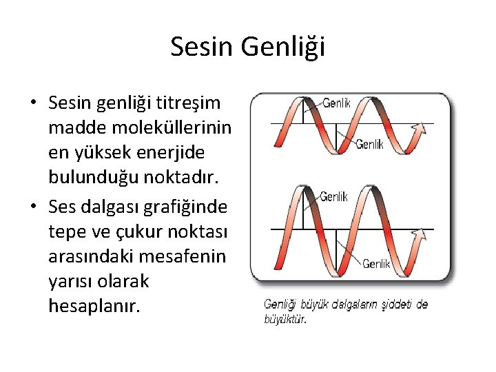 Sesin Genliği • Sesin genliği titreşim madde moleküllerinin en yüksek enerjide bulunduğu noktadır. • Sesin Genliği • Sesin genliği titreşim madde moleküllerinin en yüksek enerjide bulunduğu noktadır. •