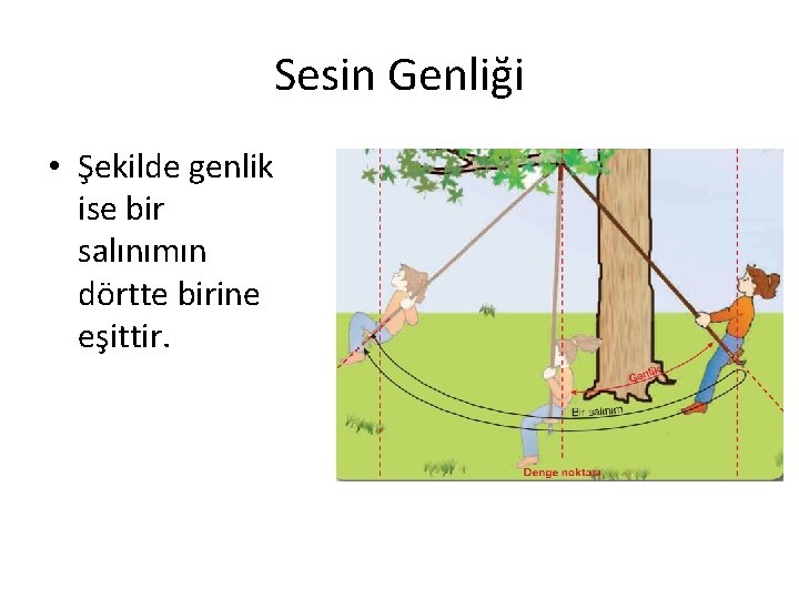 Sesin Genliği • Şekilde genlik ise bir salınımın dörtte birine eşittir. Sesin Genliği • Şekilde genlik ise bir salınımın dörtte birine eşittir.