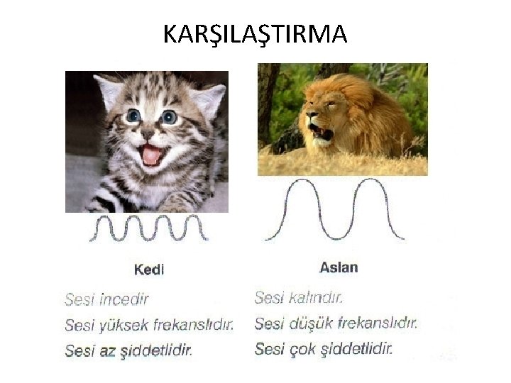 KARŞILAŞTIRMA KARŞILAŞTIRMA