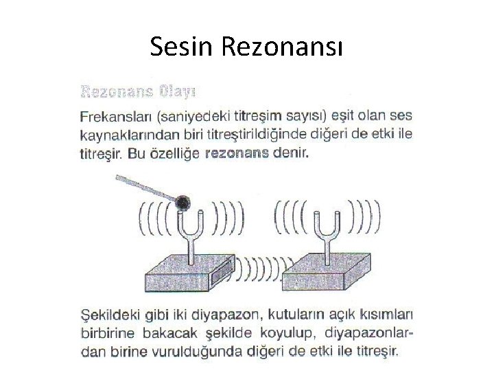 Sesin Rezonansı Sesin Rezonansı