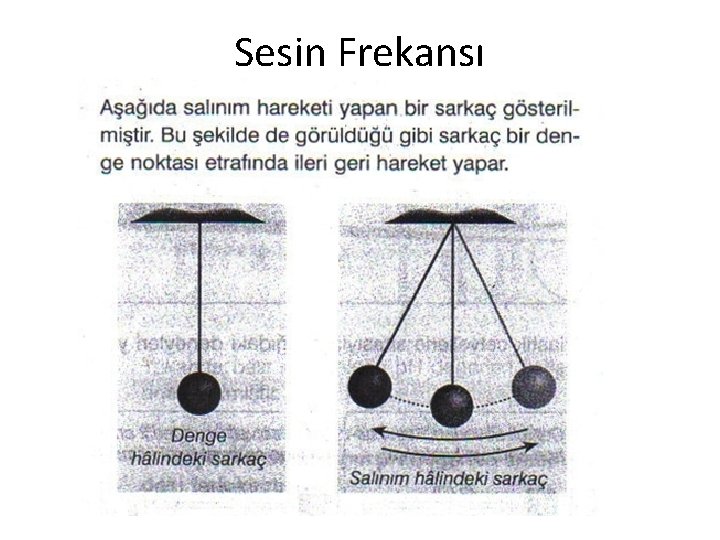 Sesin Frekansı Sesin Frekansı