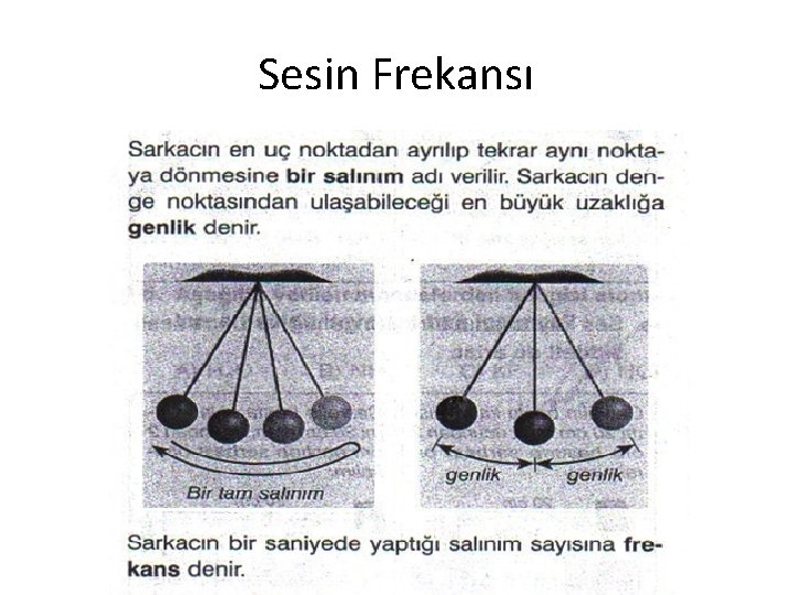 Sesin Frekansı Sesin Frekansı