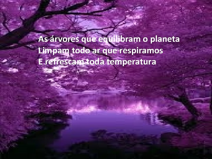 As árvores que equilibram o planeta Limpam todo ar que respiramos E refrescam toda