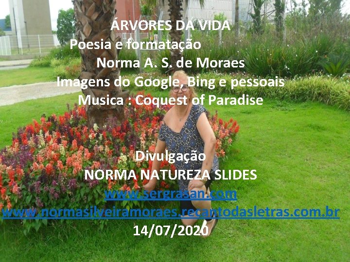 ÁRVORES DA VIDA Poesia e formatação Norma A. S. de Moraes Imagens do Google,