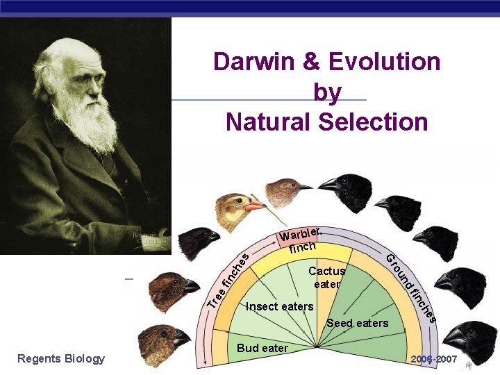 Darwin & Evolution by Natural Selection ch he fin c ee Tr fin Insect