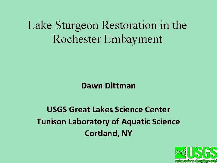 Lake Sturgeon Restoration in the Rochester Embayment Dawn Dittman USGS Great Lakes Science Center