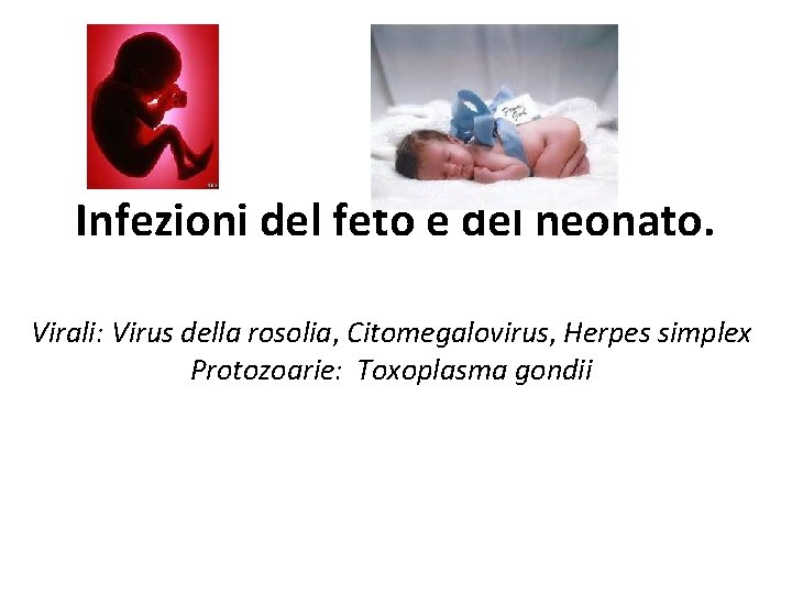 Infezioni del feto e del neonato. Virali: Virus della rosolia, Citomegalovirus, Herpes simplex Protozoarie: