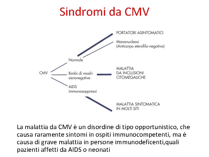 Sindromi da CMV La malattia da CMV è un disordine di tipo opportunistico, che