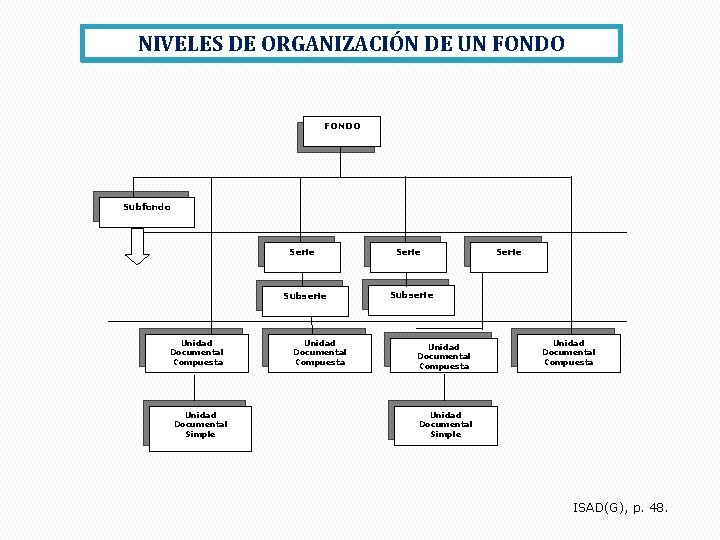 NIVELES DE ORGANIZACIÓN DE UN FONDO Subfondo Serie Subserie Unidad Documental Compuesta Unidad Documental