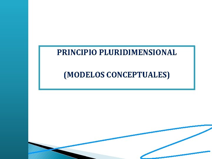 PRINCIPIO PLURIDIMENSIONAL (MODELOS CONCEPTUALES) 