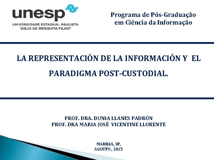 Programa de Pós-Graduação em Ciência da Informação LA REPRESENTACIÓN DE LA INFORMACIÓN Y EL