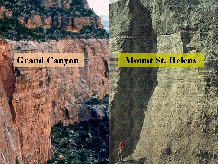 Grand Canyon Mount St. Helens 