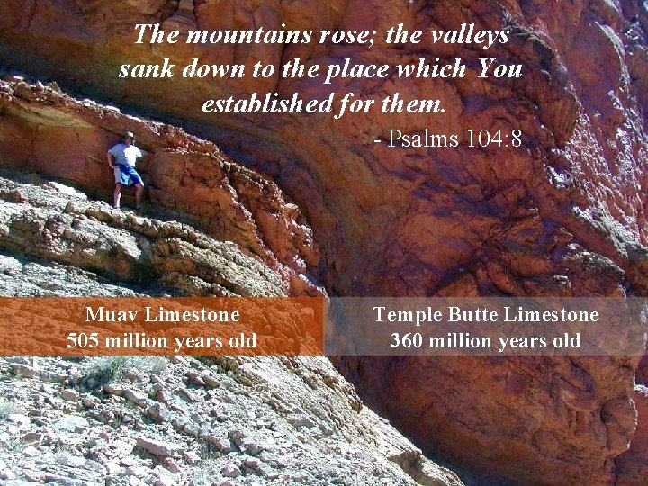 The mountains rose; the valleys sank down to the place which You established for