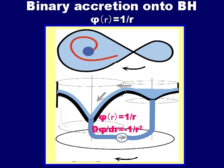 Binary accretion onto BH φ（ｒ）=1/r Dφ/dr=-1/r 2 