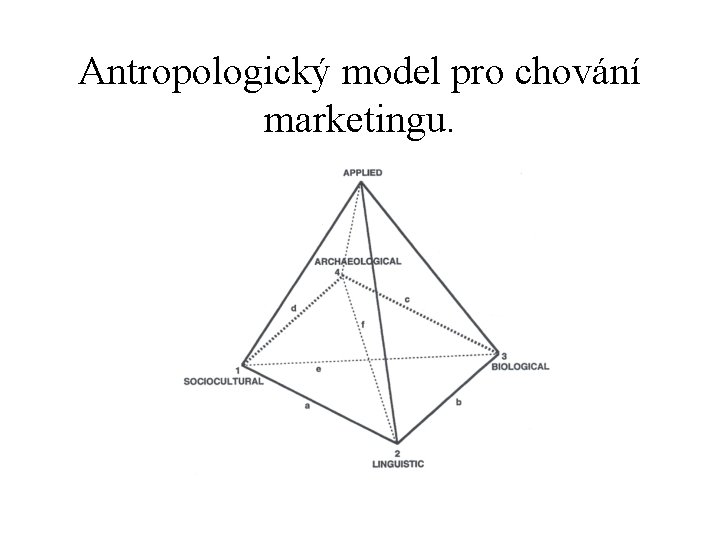 Antropologický model pro chování marketingu. 