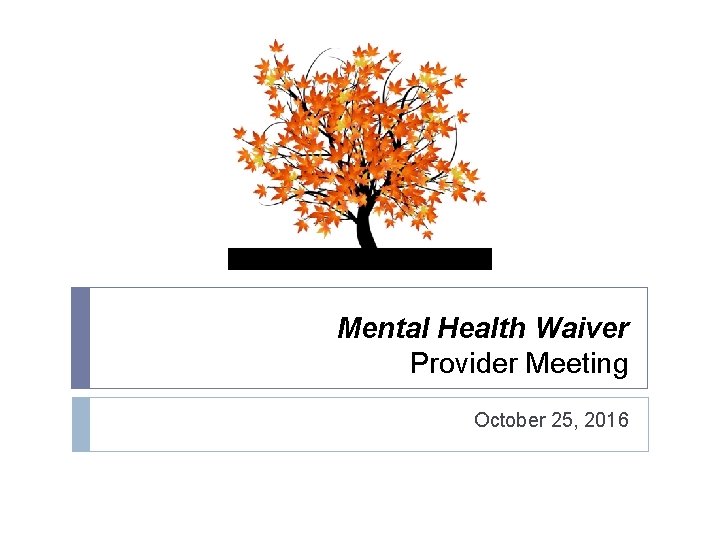 Mental Health Waiver Provider Meeting October 25, 2016 