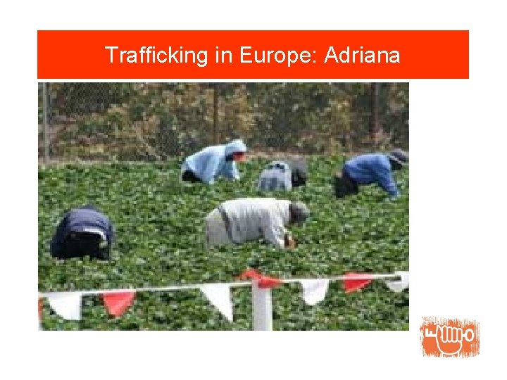 Trafficking in Europe: Adriana 