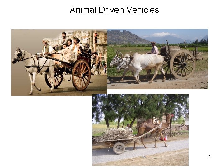 Animal Driven Vehicles 2 Animal Driven Vehicles 2
