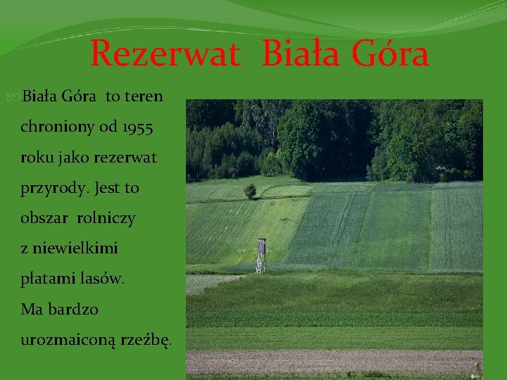 Rezerwat Biała Góra to teren chroniony od 1955 roku jako rezerwat przyrody. Jest to