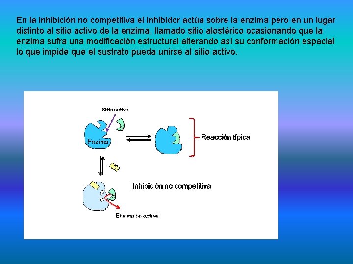En la inhibición no competitiva el inhibidor actúa sobre la enzima pero en un