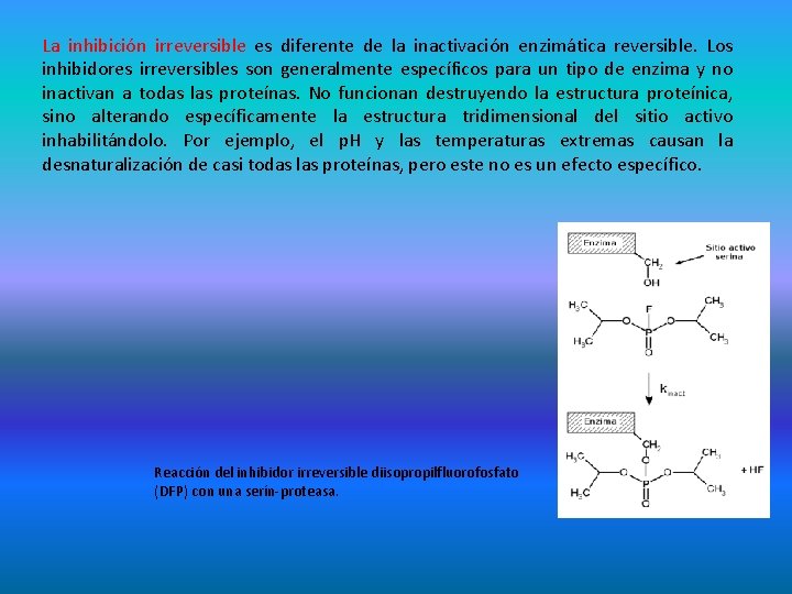 La inhibición irreversible es diferente de la inactivación enzimática reversible. Los inhibidores irreversibles son