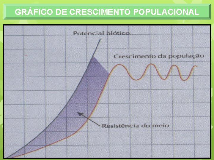 GRÁFICO DE CRESCIMENTO POPULACIONAL 