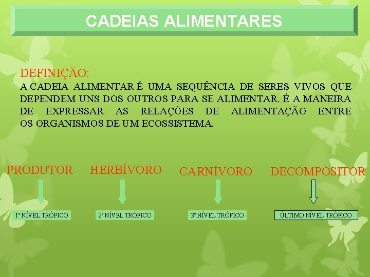 CADEIAS ALIMENTARES DEFINIÇÃO: A CADEIA ALIMENTAR É UMA SEQUÊNCIA DE SERES VIVOS QUE DEPENDEM