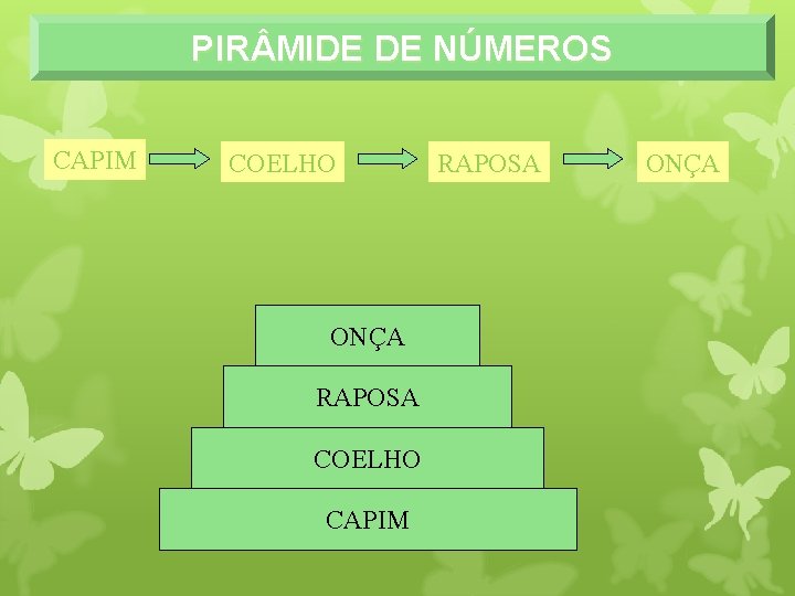 PIR MIDE DE NÚMEROS CAPIM COELHO ONÇA RAPOSA COELHO CAPIM RAPOSA ONÇA 