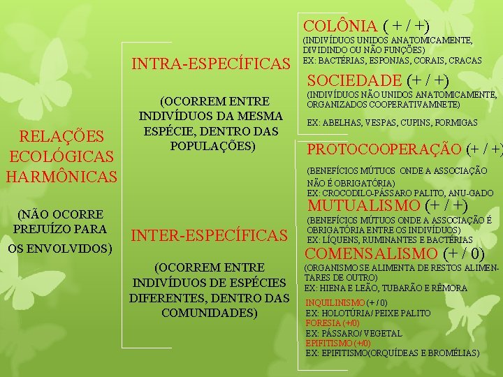 COLÔNIA ( + / +) INTRA-ESPECÍFICAS RELAÇÕES ECOLÓGICAS HARMÔNICAS (NÃO OCORRE PREJUÍZO PARA OS