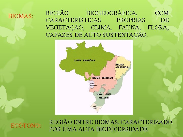 BIOMAS: ECÓTONO: REGIÃO BIOGEOGRÁFICA, COM CARACTERÍSTICAS PRÓPRIAS DE VEGETAÇÃO, CLIMA, FAUNA, FLORA, CAPAZES DE