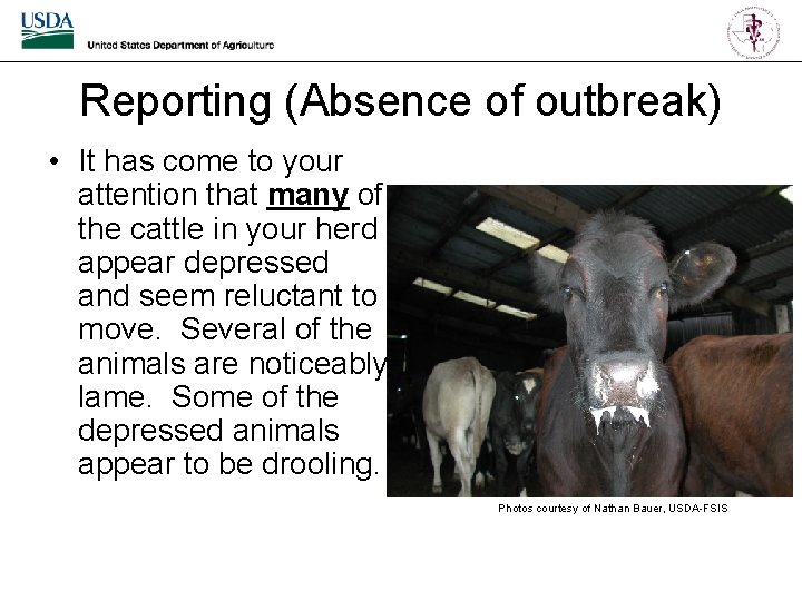 Reporting (Absence of outbreak) • It has come to your attention that many of