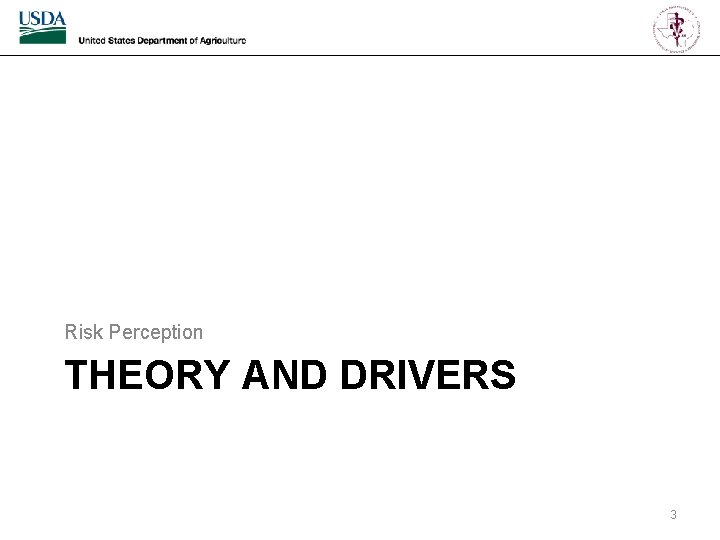 Risk Perception THEORY AND DRIVERS 3 