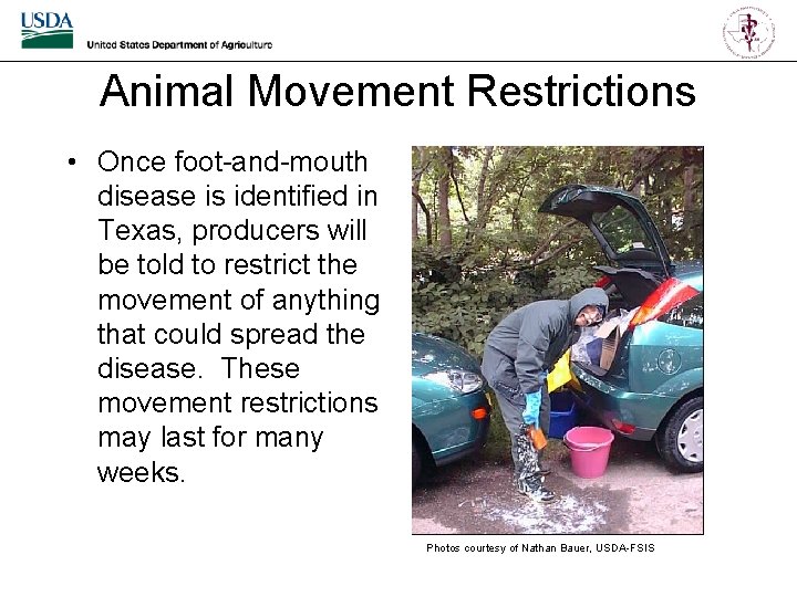 Animal Movement Restrictions • Once foot-and-mouth disease is identified in Texas, producers will be