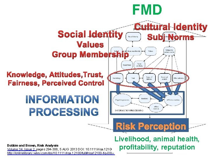 FMD Risk Perception Livelihood, animal health, Dobbie and Brown, Risk Analysis profitability, reputation Volume