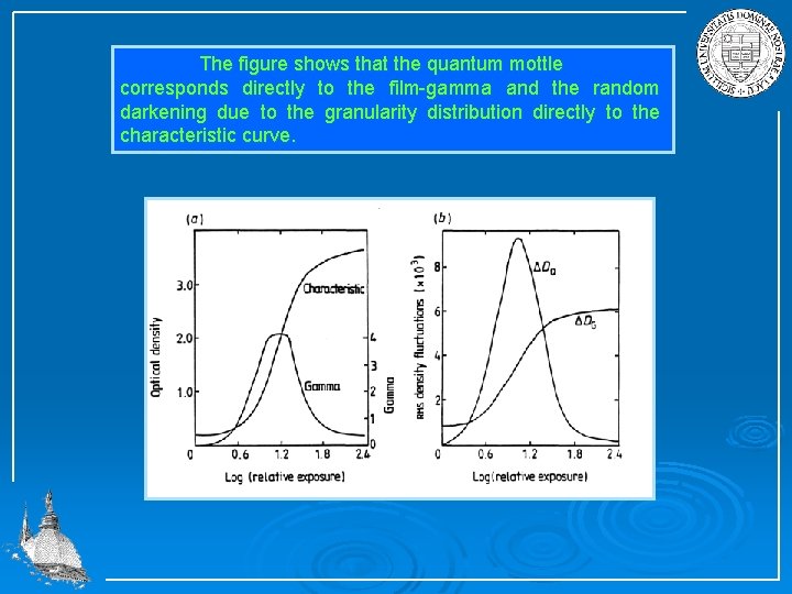 The figure shows that the quantum mottle corresponds directly to the film gamma and