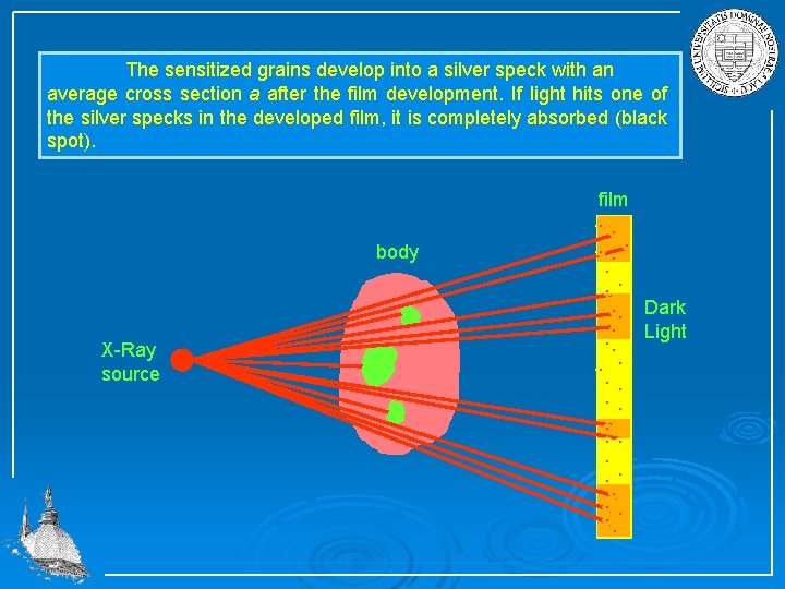 The sensitized grains develop into a silver speck with an average cross section a