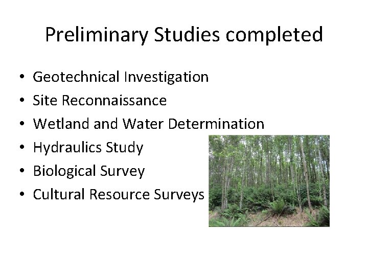 Preliminary Studies completed • • • Geotechnical Investigation Site Reconnaissance Wetland Water Determination Hydraulics