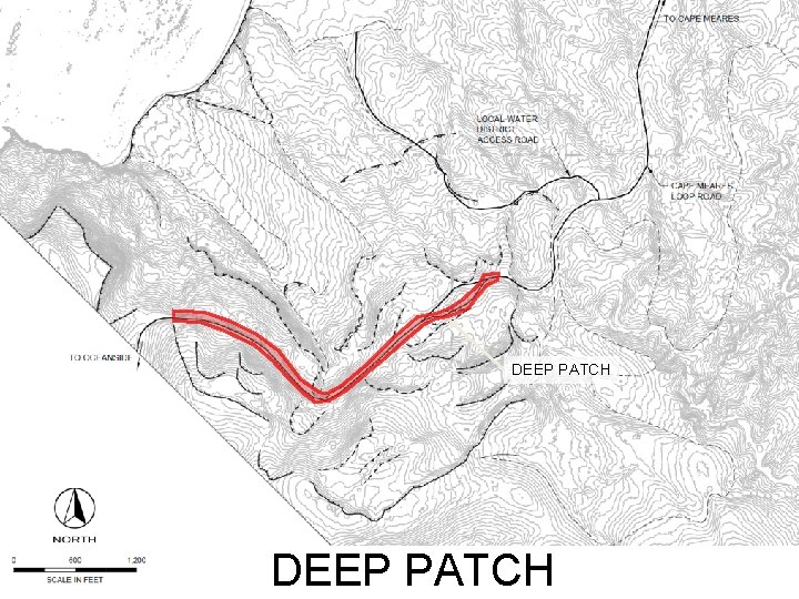 DEEP PATCH 