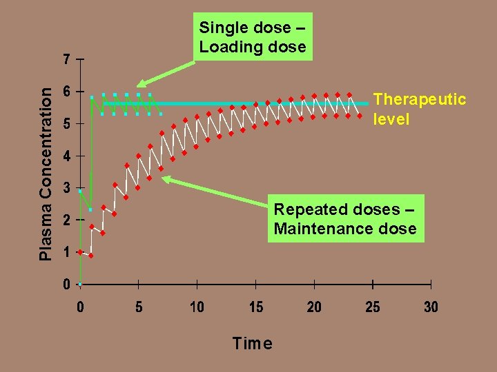 Plasma Concentration Single dose – Loading dose Therapeutic level Repeated doses – Maintenance dose