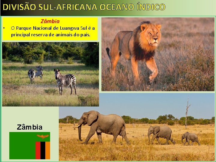 DIVISÃO SUL-AFRICANA OCEANO ÍNDICO Zâmbia • O Parque Nacional de Luangwa Sul é a