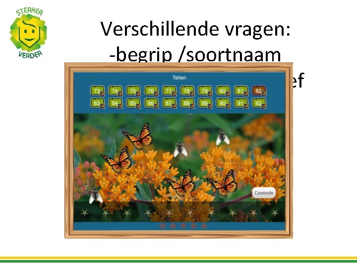 Verschillende vragen: -begrip /soortnaam /werkwoord/substantief 