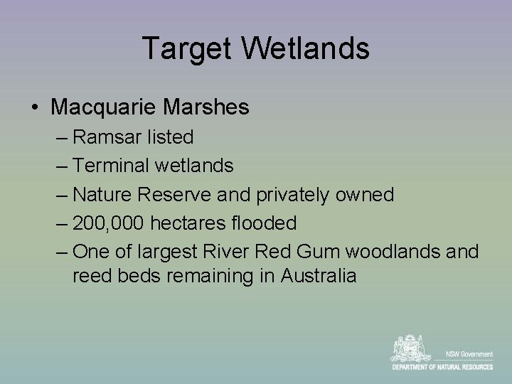 Target Wetlands • Macquarie Marshes – Ramsar listed – Terminal wetlands – Nature Reserve