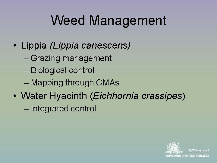 Weed Management • Lippia (Lippia canescens) – Grazing management – Biological control – Mapping