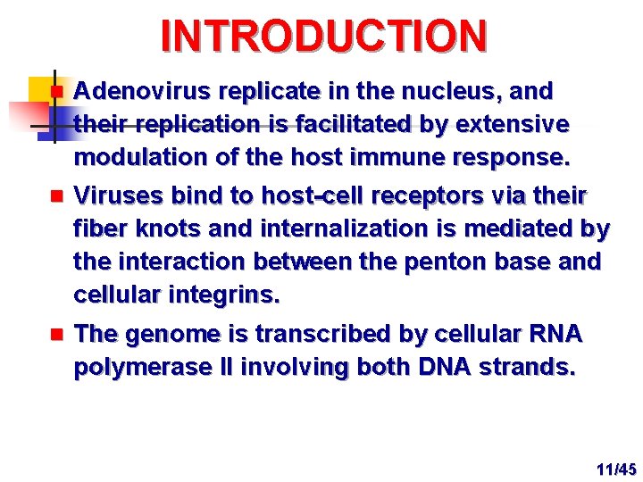 INTRODUCTION n Adenovirus replicate in the nucleus, and their replication is facilitated by extensive