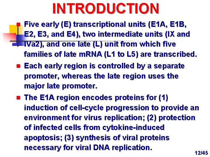 INTRODUCTION n Five early (E) transcriptional units (E 1 A, E 1 B, E