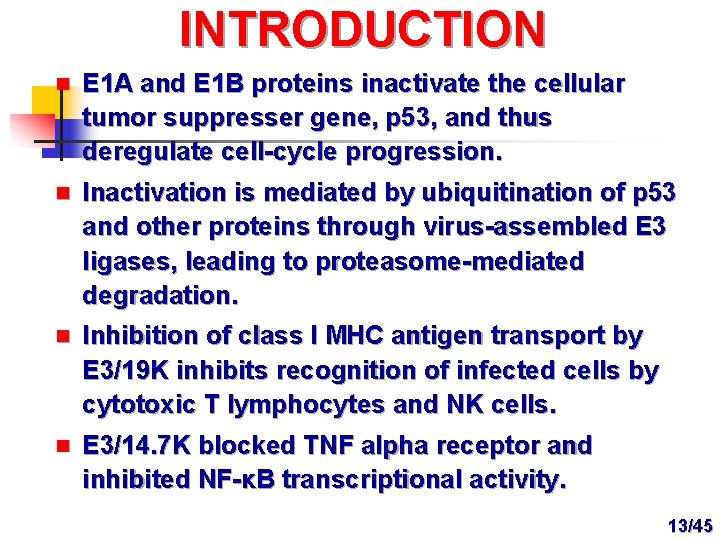 INTRODUCTION n E 1 A and E 1 B proteins inactivate the cellular tumor