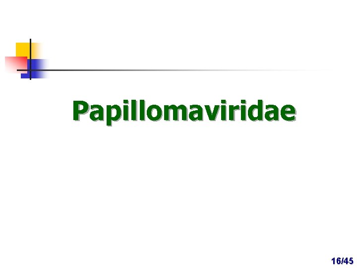 Papillomaviridae 16/45 