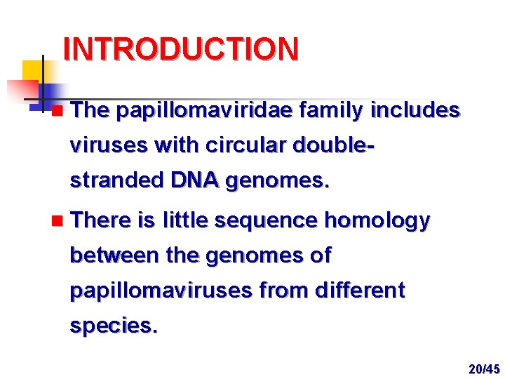 INTRODUCTION n The papillomaviridae family includes viruses with circular doublestranded DNA genomes. n There