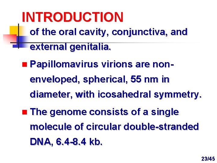 INTRODUCTION of the oral cavity, conjunctiva, and external genitalia. n Papillomavirus virions are non-